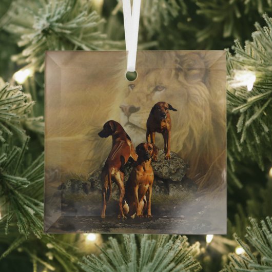 Ornement En Verre Rhodesian Ridgeback avec Lion (Insitu)