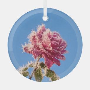 Ornement En Verre Rose rose avec givre glacée dans une nature hivern