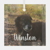 Ornement En Verre Script blanc photo personnalisé (Recto)