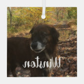 Ornement En Verre Script blanc photo personnalisé (Verso)