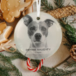 Ornement En Verre Simple Funny 'Define Naughty' Garde photo pour ani<br><div class="desc">Créez un ornement de Noël pour animal de compagnie amusant avec ce simple modèle moderne. Le design comprend une photo de votre chien/chat,  une bannière blanche avec le texte "DEFINE NAUGHTY" et le nom de l'animal.</div>