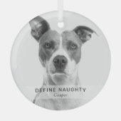Ornement En Verre Simple Funny 'Define Naughty' Garde photo pour ani (Recto)