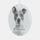 Ornement En Verre Simple Funny 'Define Naughty' Garde photo pour ani (Avant gauche)