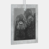 Ornement En Verre Special Order Two Newfs Glass Ornament (Avant droite)