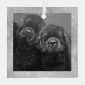 Ornement En Verre Special Order Two Newfs Glass Ornament (Verso)