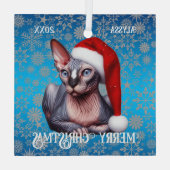 Ornement En Verre Sphynx Chat Pretty Blue Noël (Verso)