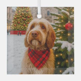 Ornement En Verre Spinone Italiano