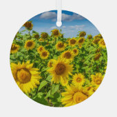 Ornement En Verre Terrain de tournesol, ensoleillé l'été. (Verso)
