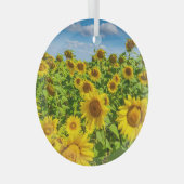 Ornement En Verre Terrain de tournesol, ensoleillé l'été. (Avant droite)