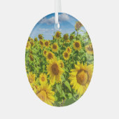 Ornement En Verre Terrain de tournesol, ensoleillé l'été. (Avant gauche)