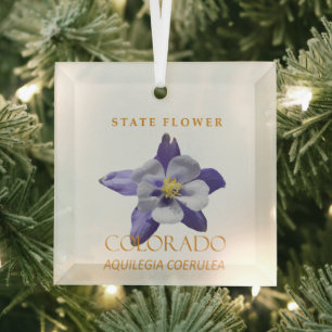 Ornement En Verre Territoire du Colorado Fleur Aquilegia coerulea bl