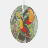 Ornement En Verre Vibrant Tropical Toucan Birds Art Exotic Jungle (Avant gauche)