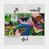 Ornement En Verre Vie papillon (Verso)