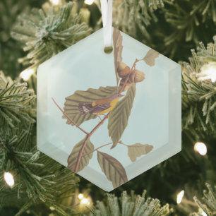 Ornement En Verre Vintage Audubon Magnolia Paruline Oiseau
