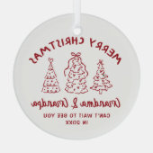 Ornement En Verre Whimsical Grandparents Pregnancy Announcement (Verso)