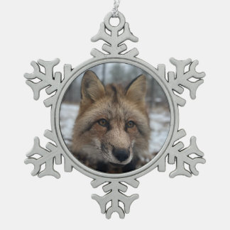 Ornement encadré flocon de neige Wild Paws Flash