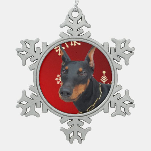 Ornement encadré par flocon de neige (Devant)