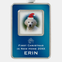 Premier Noël de bleu en nouvelle photo d'animal