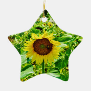 Ornement Étoile En Céramique Abeille sur tournesol jaune