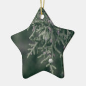 Ornement Étoile En Céramique Baies de genévrier (Gauche)