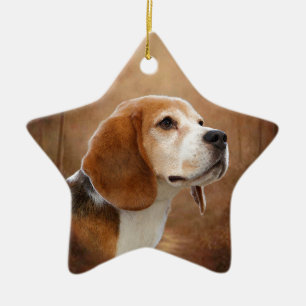 Ornement Étoile En Céramique Beagle