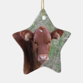 Ornement Étoile En Céramique Bébé Brown Vache visage (Droite)