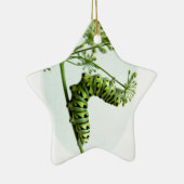 Ornement Étoile En Céramique Black Swallowtail Caterpillar mangeant du persil (Droite)