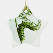Ornement Étoile En Céramique Black Swallowtail Caterpillar mangeant du persil (Devant)