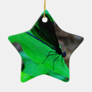 Ornement Étoile En Céramique Blue Damselfly on a green leaf.