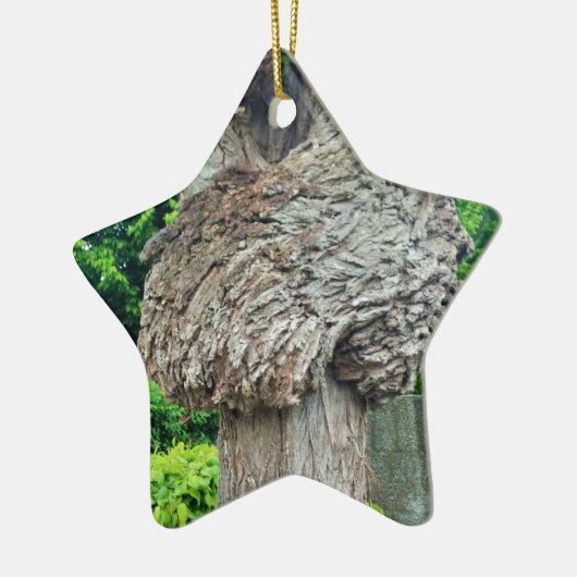 Ornement Étoile En Céramique Bracelet d'arbre, Knar, Nature Green (Gauche)