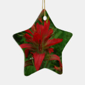 Ornement Étoile En Céramique Brosse à peinture indienne (Droite)