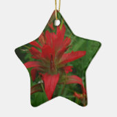 Ornement Étoile En Céramique Brosse à peinture indienne (Gauche)