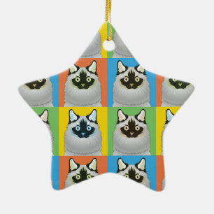 Ornement Étoile En Céramique Bruit-Art de bande dessinée de chat de Ragdoll