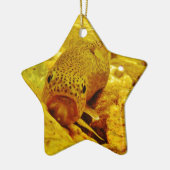 Ornement Étoile En Céramique Canal en flux (Gauche)