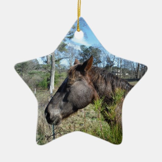 Ornement Étoile En Céramique Cheval de couleur Coco et Crème (Devant)