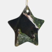Ornement Étoile En Céramique Cheval en automne (Droite)