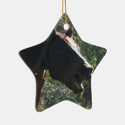 Ornement Étoile En Céramique Cheval en automne (Droite)