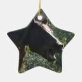 Ornement Étoile En Céramique Cheval en automne (Devant)