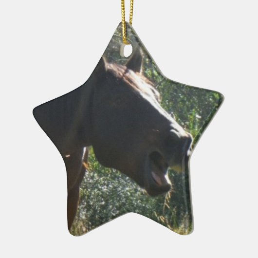 Ornement Étoile En Céramique Cheval en automne (Gauche)