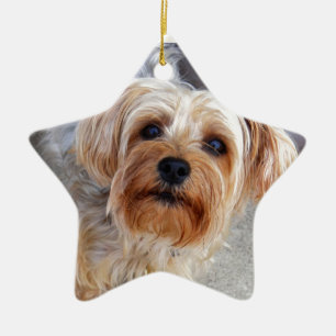 Ornement Étoile En Céramique Chiot heureux de Yorkie