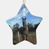 Ornement Étoile En Céramique Chocolat au lait Cheval Brown en bleu (Gauche)