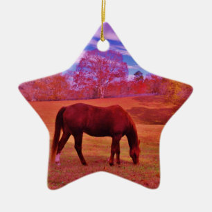 ORNEMENT ÉTOILE EN CÉRAMIQUE DSCF0536.JPG