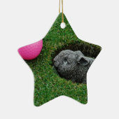 ORNEMENT ÉTOILE EN CÉRAMIQUE DSCF0652.JPG (Droite)