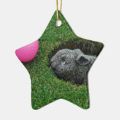 ORNEMENT ÉTOILE EN CÉRAMIQUE DSCF0652.JPG (Gauche)