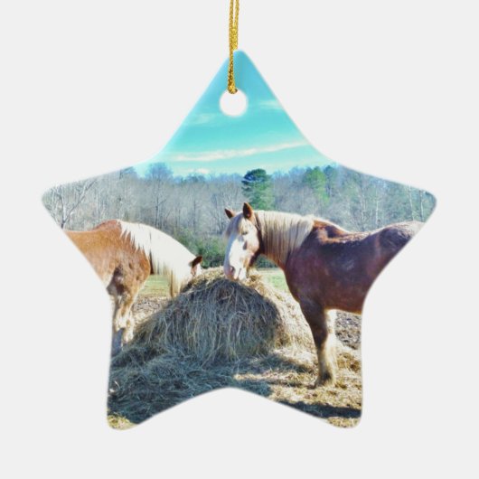 Ornement Étoile En Céramique Ébauche secourue Chevaux mangeant foin (Devant)