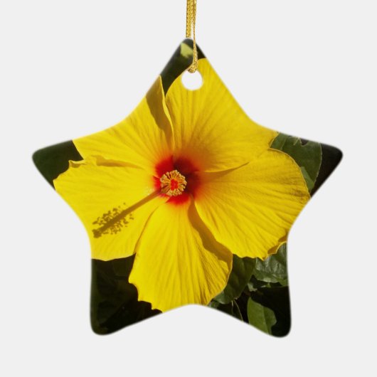 Ornement Étoile En Céramique Fleur d'Hibiscus jaune (Dos)