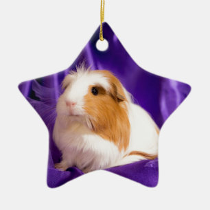 Ornement Étoile En Céramique guinea pig