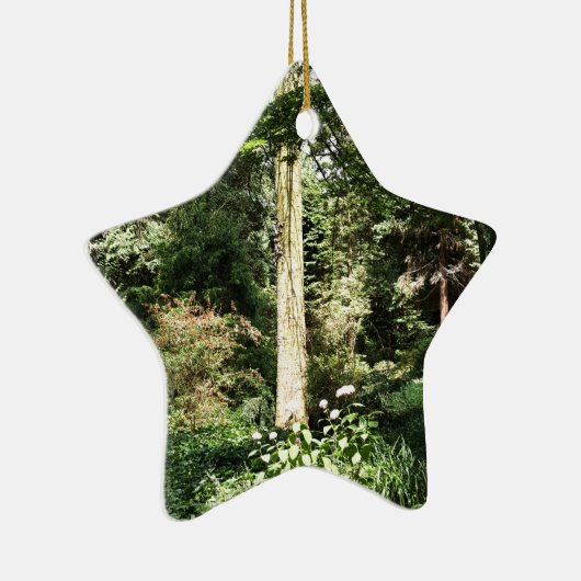 Ornement Étoile En Céramique Hydrangea Wood Trees (Droite)