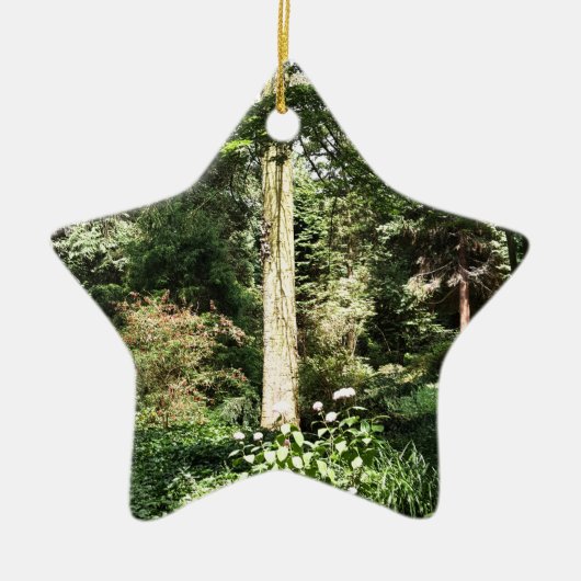 Ornement Étoile En Céramique Hydrangea Wood Trees (Devant)