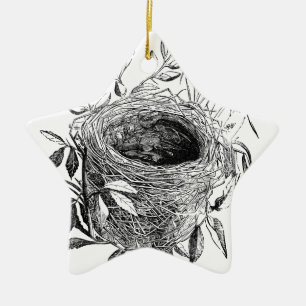 Ornement Étoile En Céramique illustration de cru de nid d'oiseau